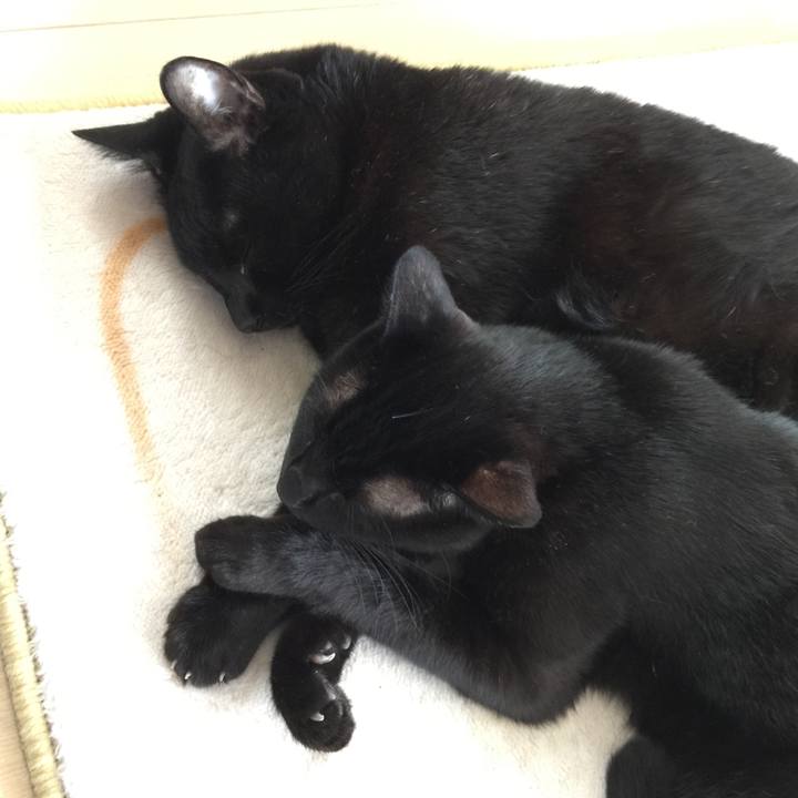 231bbd0a 55b3 475f 95bc d97af4c0ecf5