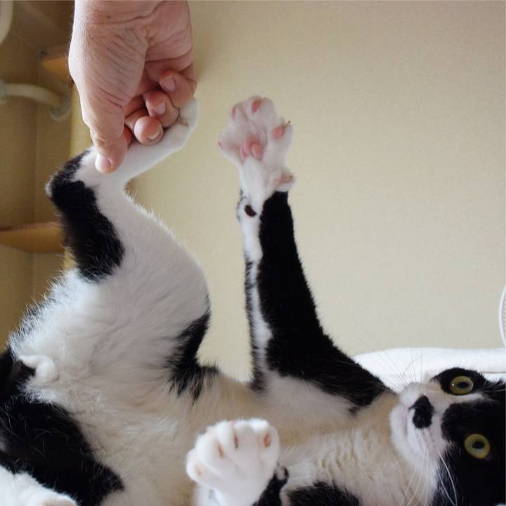 231c6b67 1a03 45f9 b4dd d3d644283fe7