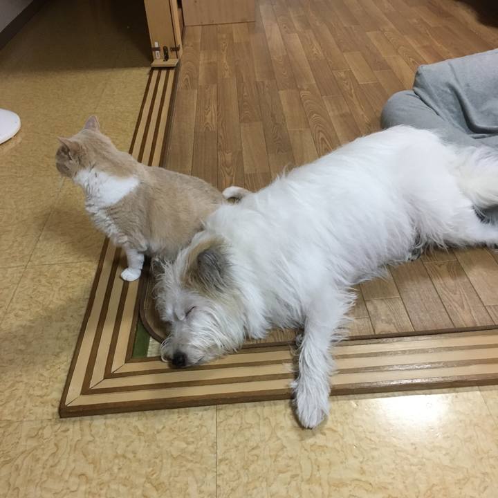 231f4015 82f5 40e3 852e 2d9402abf0b6