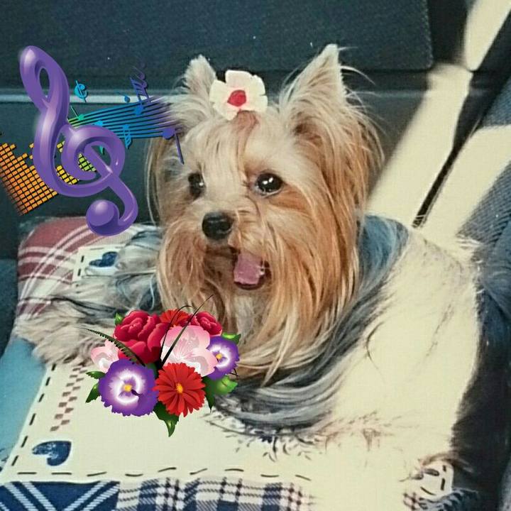 231f792a b553 4c3d b840 96f7b7df5a75