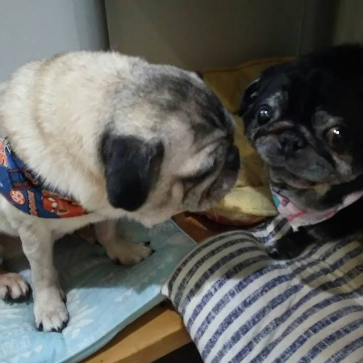 231f7ba9 2782 4e5e 9e3a 41dbef78ae14