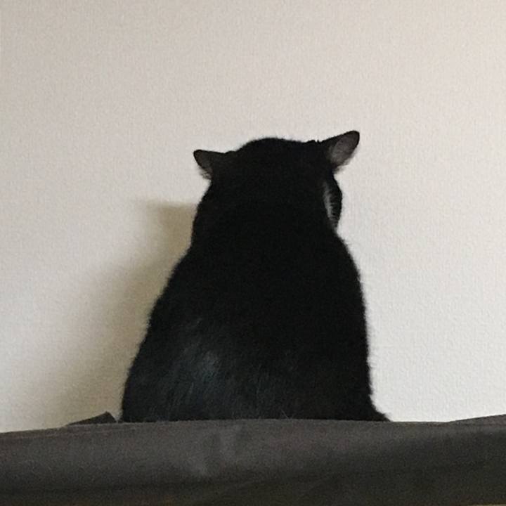 231f801a 7601 41a1 8079 10031db96d4c