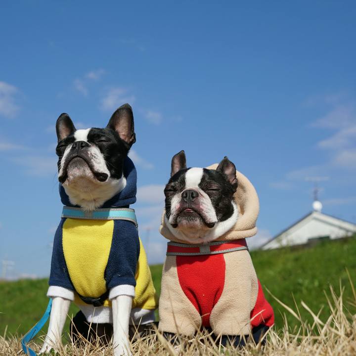 231f82f6 0ca7 4426 bce5 2e81b590eff6