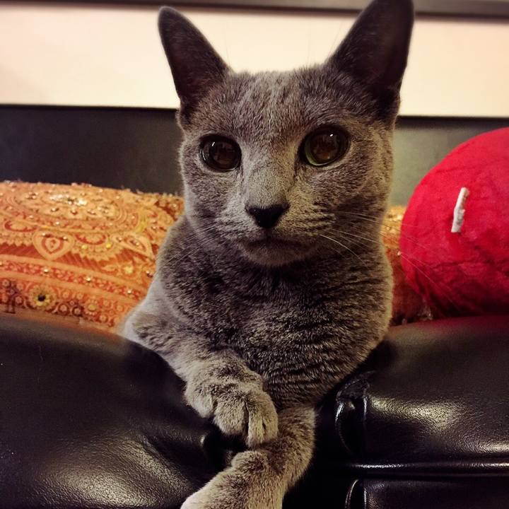 231f8d47 d5e2 4881 9af8 7b73b90f22e5