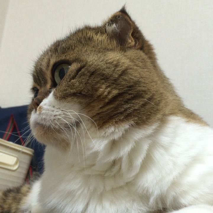 2320e582 f939 40f5 9a86 a368a9d503f5