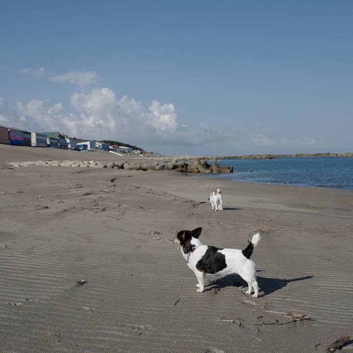 23213dbf a1c6 4987 bf00 9c0e924a783c