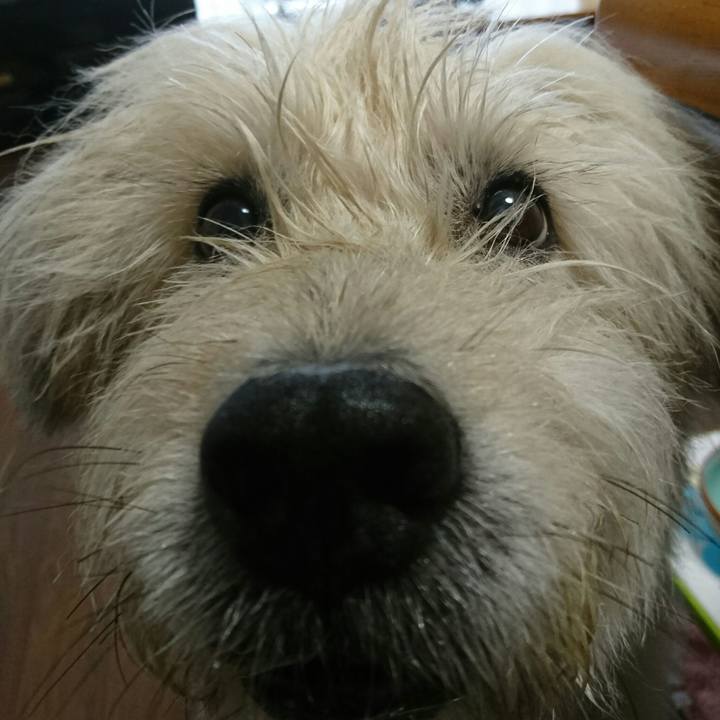 232176a0 dcc4 4d7d a602 e88a4561aa11