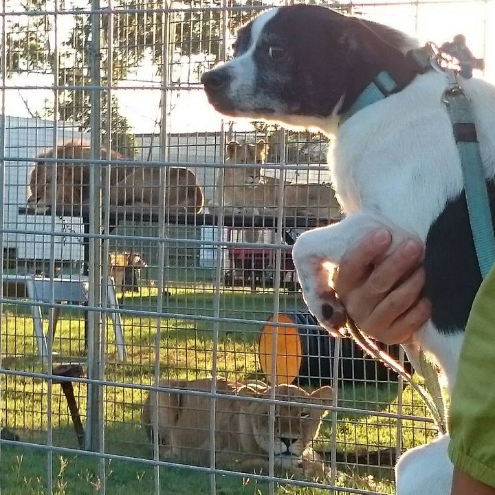 2321d072 2fe7 43ab 89a7 ff70367c6fca