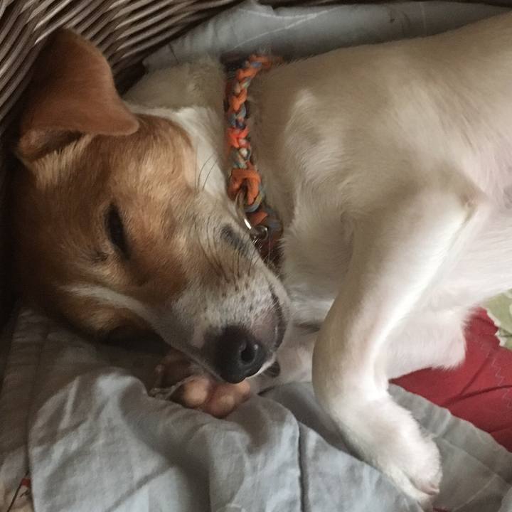 23227930 1702 41ac af02 3867b1904fcb