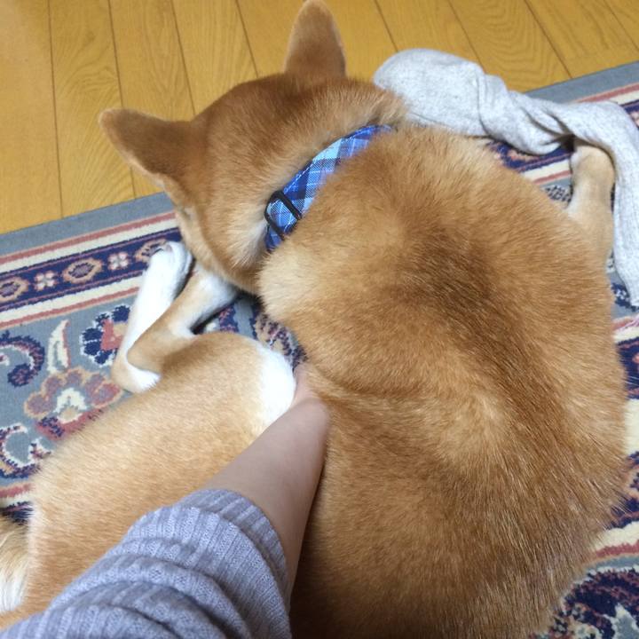 2322d258 17d4 4cdf 99ef a3bc20dfb9cc