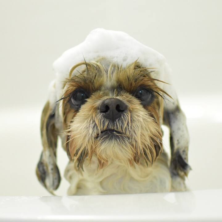 2322e9b9 a0e5 48d6 a3e9 1b74496f7c77