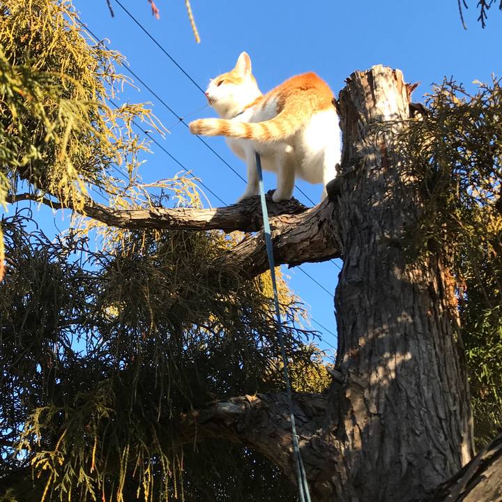 2322f502 2836 4b00 8e76 9fe3734ea9e4