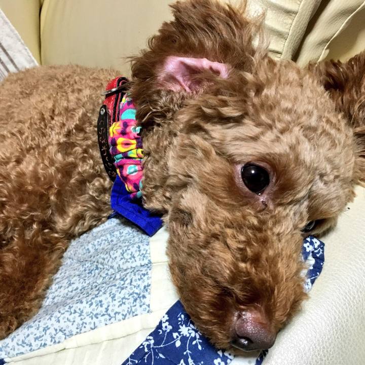 232389a7 cec6 4ac2 9dad 17936db69127