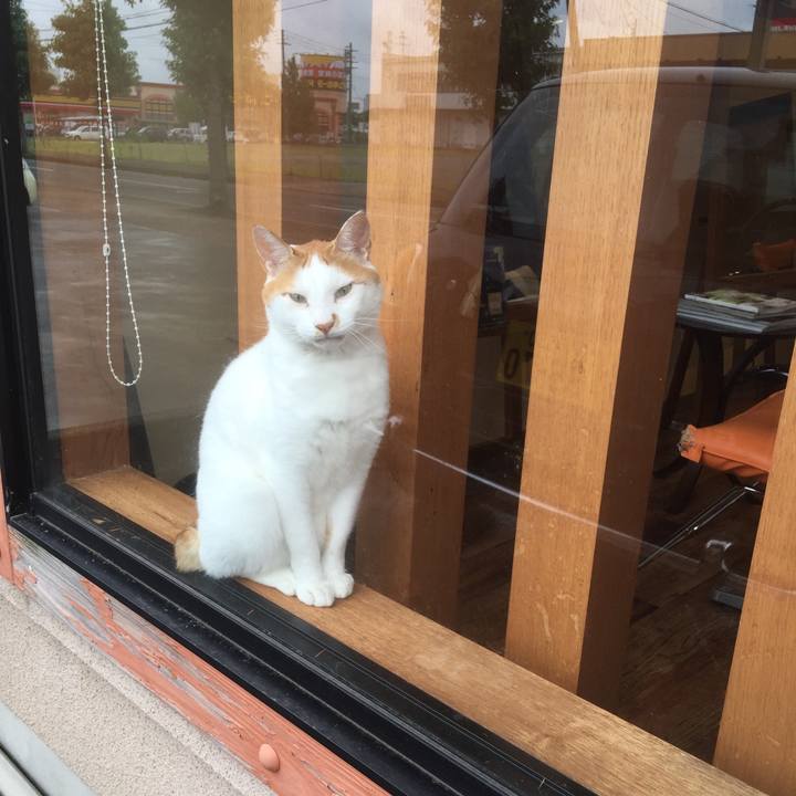 232441d0 fa18 465f 81a5 b0a09f068a06