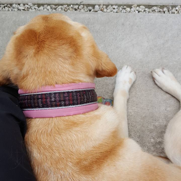 23244b79 522c 4ef4 8018 e309dcc0f782