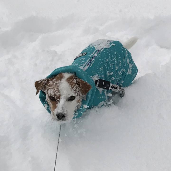 23248239 5d5a 4726 b53d a743217500c9