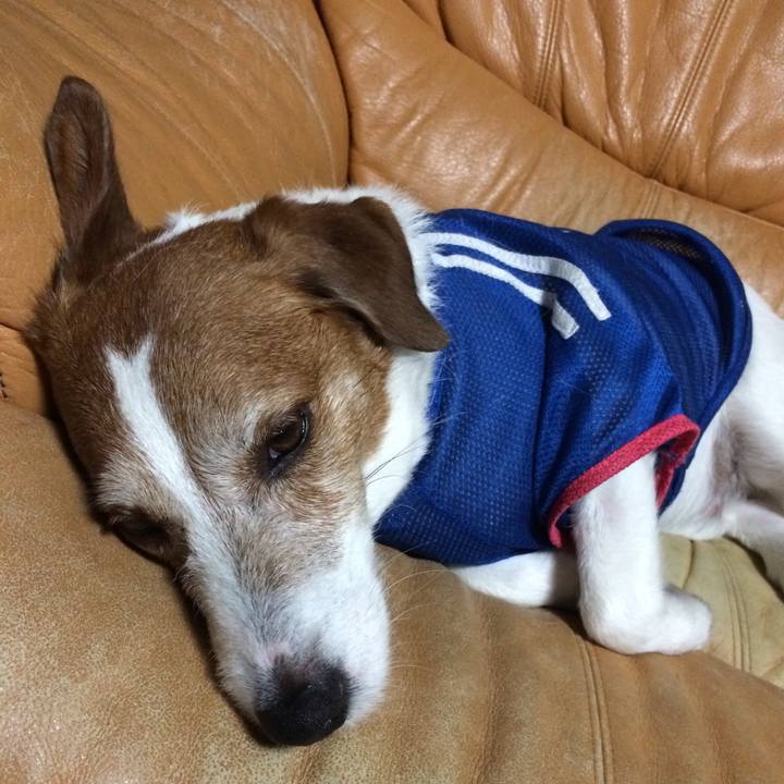 2325066a 46df 4509 bfea 6fc8fc312e0e