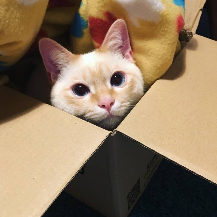 23257ae2 4c31 4d54 8cbb 4eecb0bd17b7