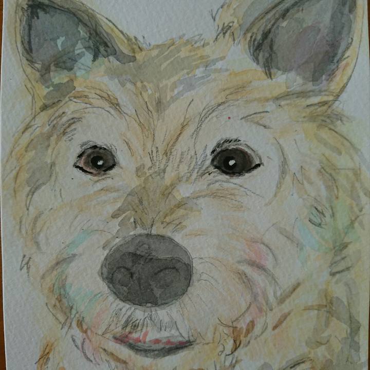 23259e7b a35b 4638 8b49 671b1c1c97b3