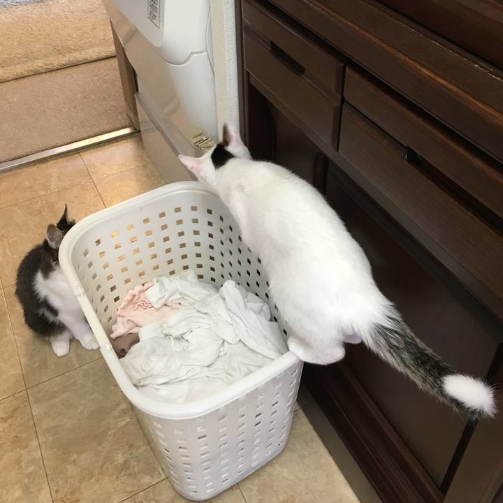 2326f5fc 1595 4ee8 a755 0bd25bdda22f