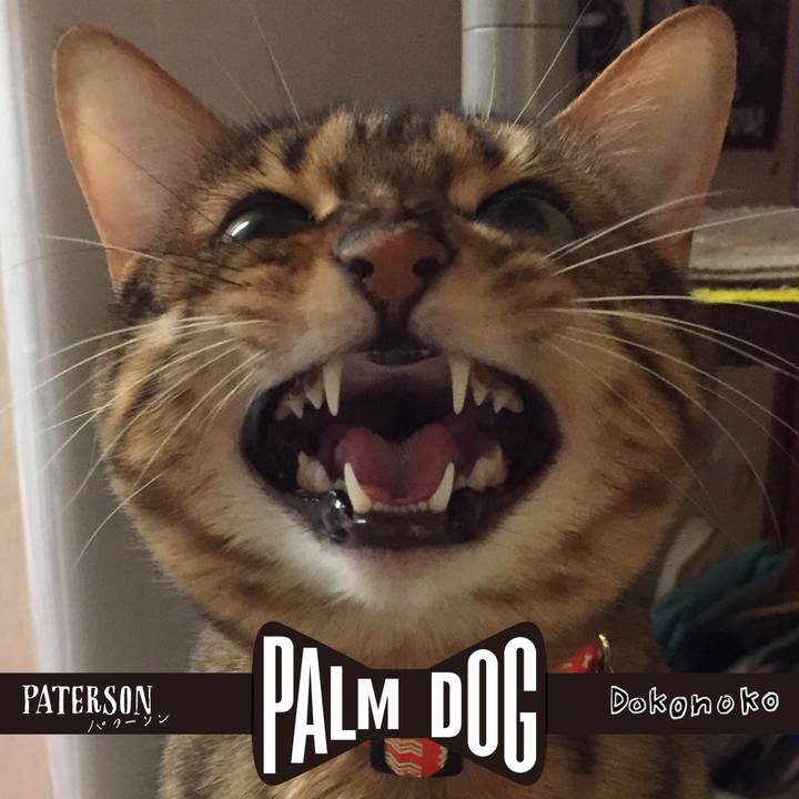 2327812d 72dd 45ec a785 1222df4d04fb