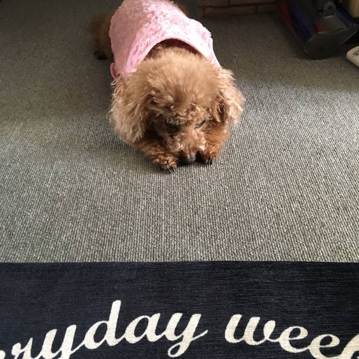 23287b3d 3026 4830 8171 0e09963876a5