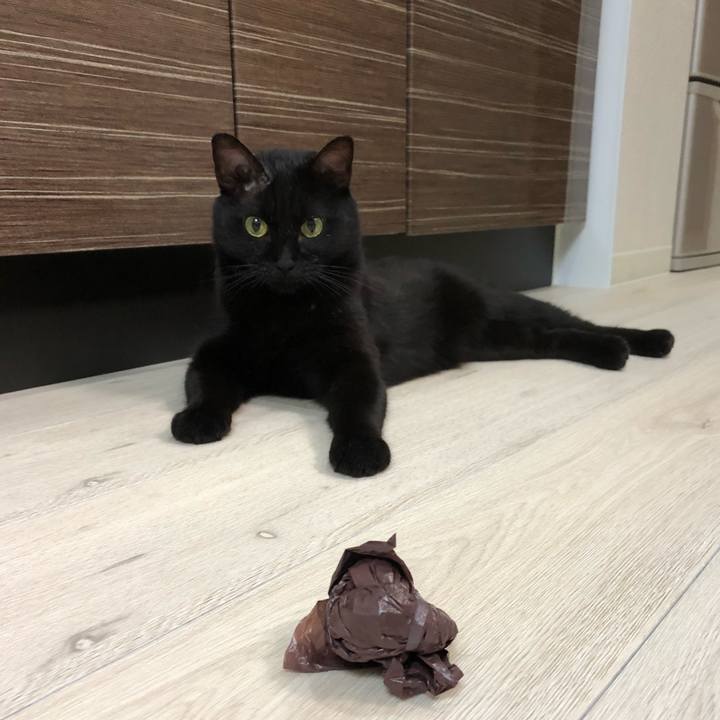 2328fa34 0beb 407c a034 ea790a34eb88