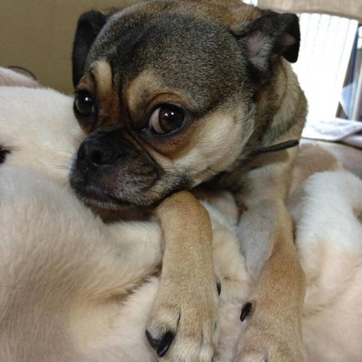 232998ba 46bc 4da4 b742 af966ff9aeb7