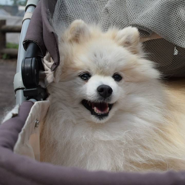 232aa541 aab7 4d95 b8a9 8019354412ad