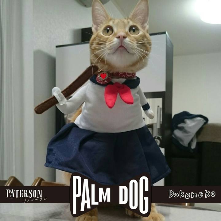 232afe79 7539 4b4e 8f50 2c245838ee46