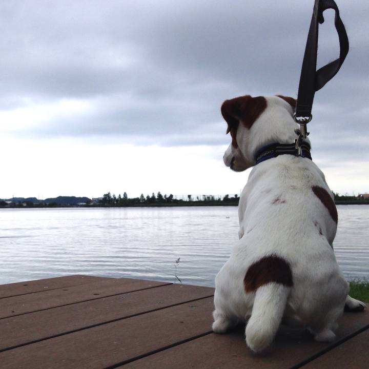 232b79d3 2987 443e 82a2 8e38761414ea