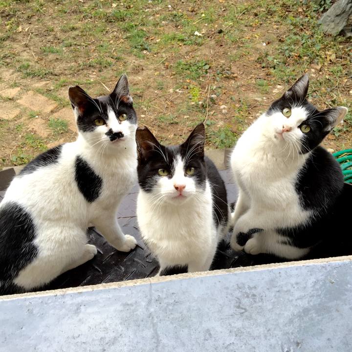 232c3b19 9daa 45d9 9d58 7954c9227131