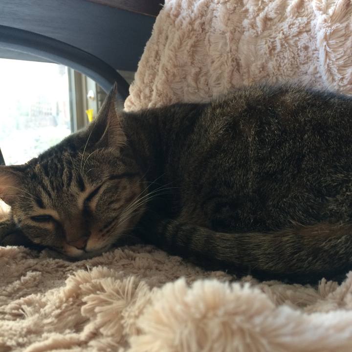 232c5e40 35b4 46d0 94c4 9a93870d0395