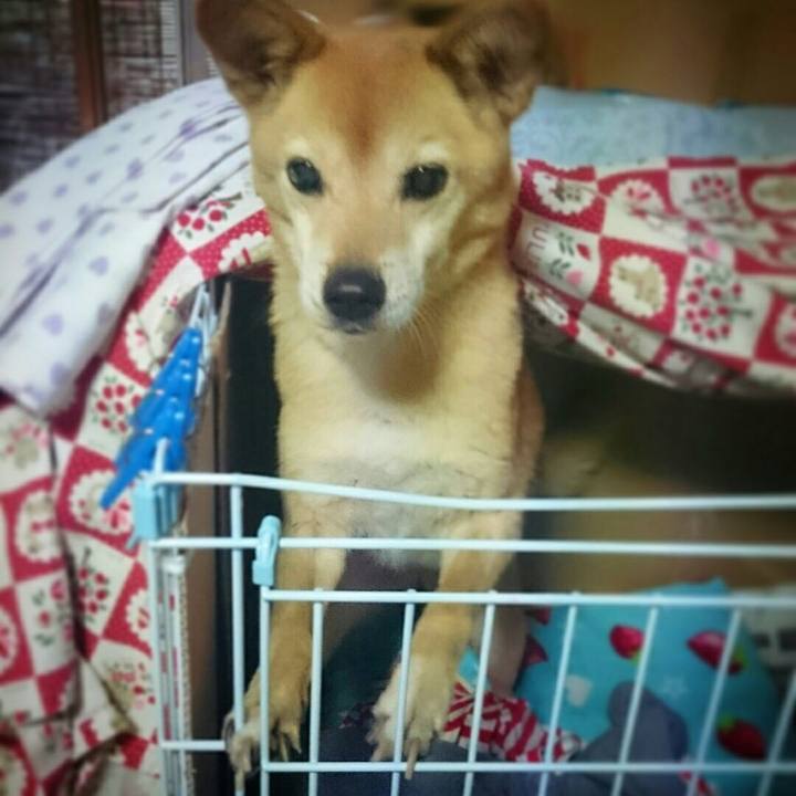 232cb08f 9992 41f0 b3ed 8f1963a4bda0