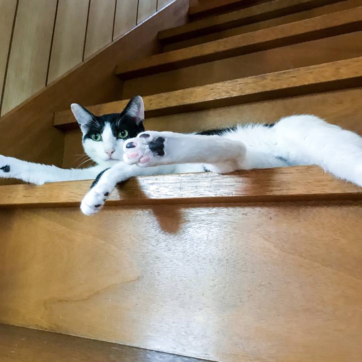 232ce6d5 548e 45c2 9792 aa75f06382be