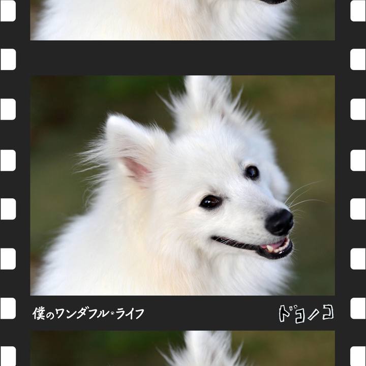 232d5429 8bdc 447f 8f3e eeb970d78dc5