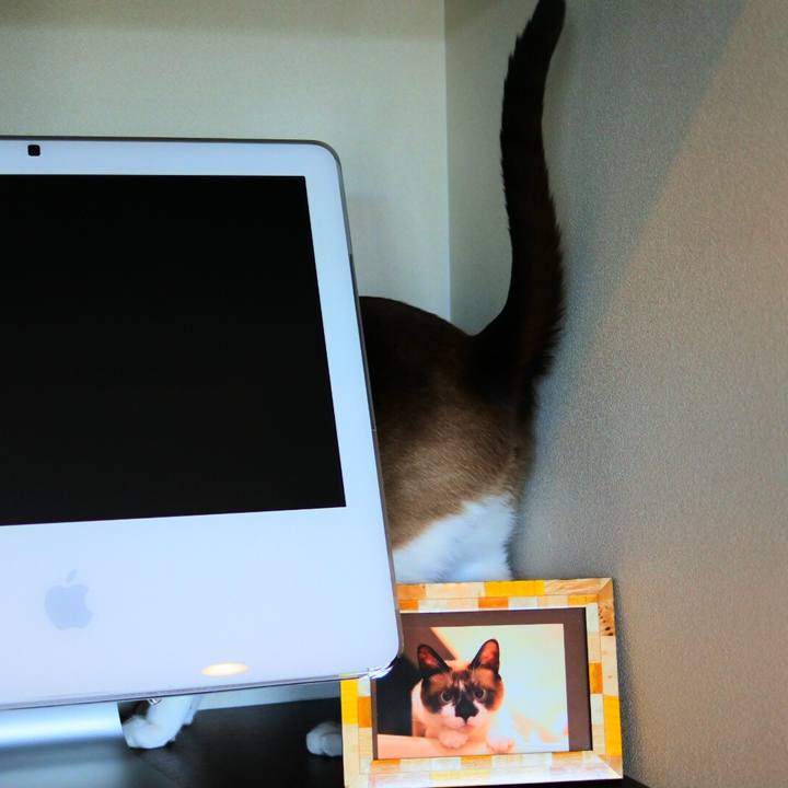 232d84b1 8509 4ff5 b98d ca7efa92ba52