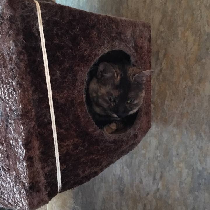 232d8efc 3489 46f9 b214 d02dad885253