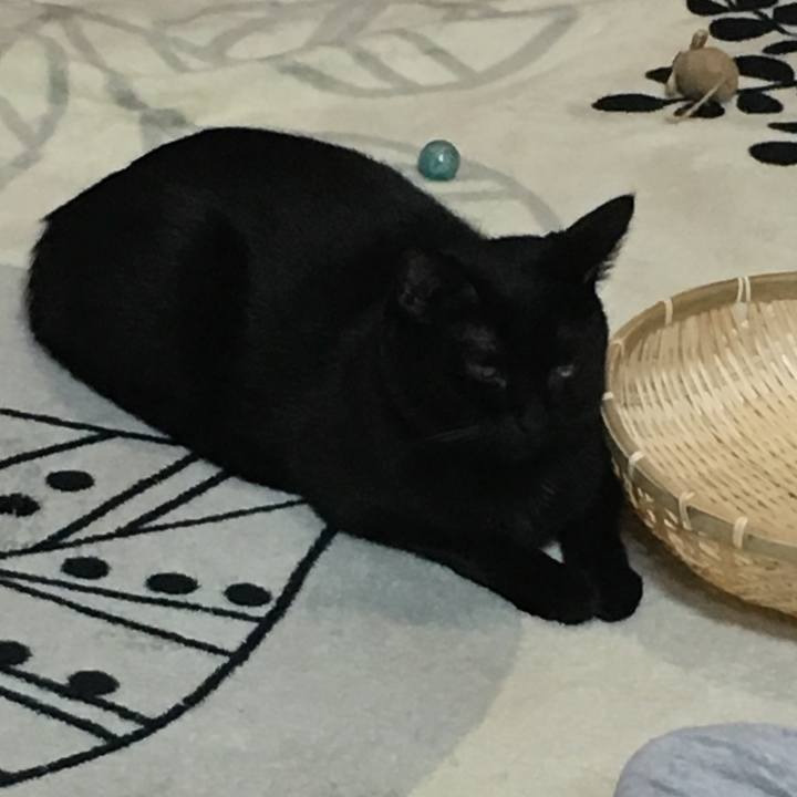 232e6c79 d844 40ac 80dd b196bb9f1979