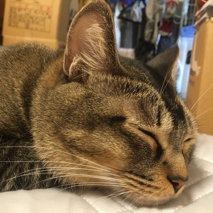 232e7f2c 60b1 497b 8d4d 0b9204adcb22