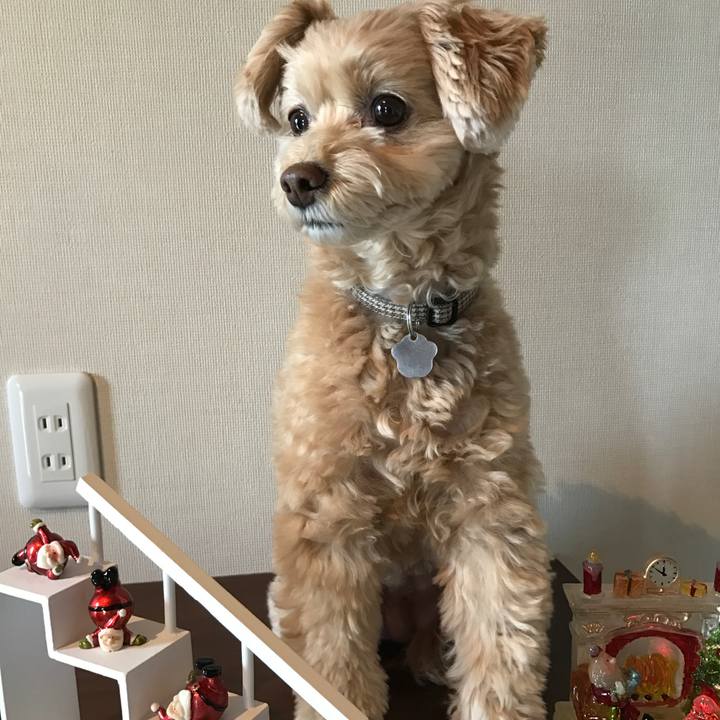 232f2112 304f 41a0 877f 854723af37df