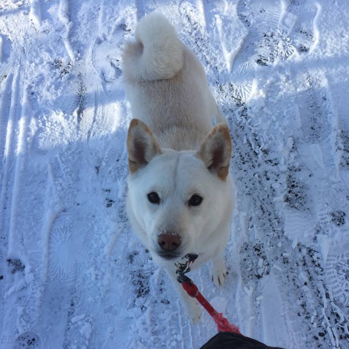 232f3acd 5f88 4cda afb0 ac462183375d