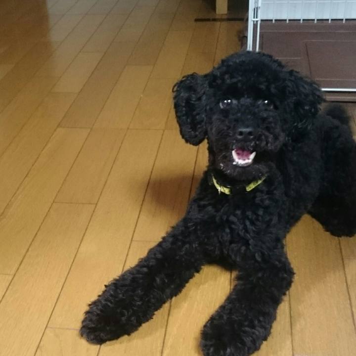 232f9d7a 7566 43a0 858d 3e953059cb85