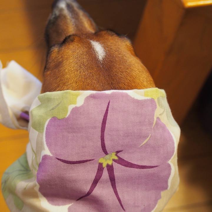 23307074 e471 4dcb 9091 dfff65789b3e