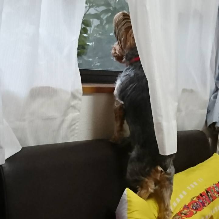 233090c2 fd0f 4d53 9bd9 d31a3d19c5c0