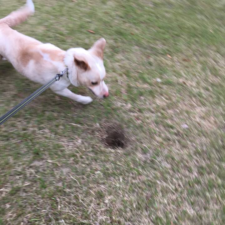 23310cf2 c51c 4ad3 a407 0d9231693a57