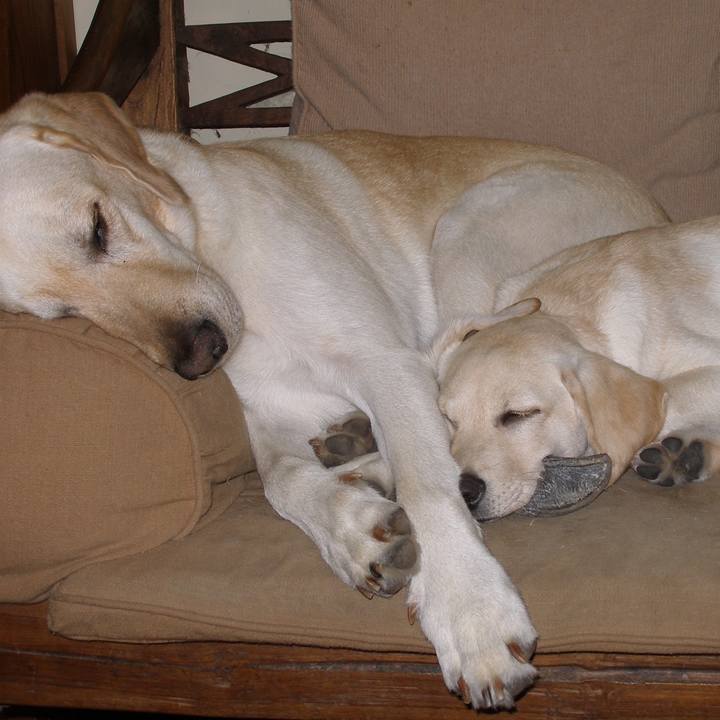 2331b2e1 57d6 46ef 9b28 03b84b4e28c1