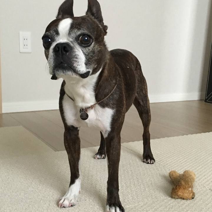 2331cca2 89eb 4246 82a6 776b63d22725