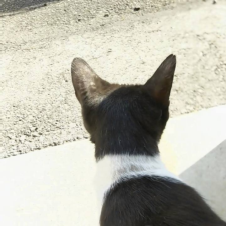 23324406 abc8 47b2 89bd 259848cef889