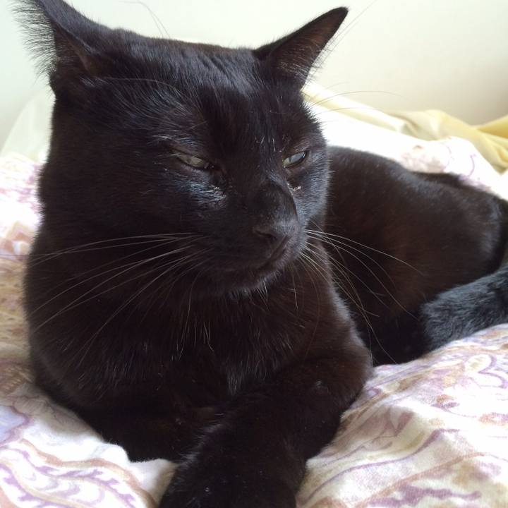 23326b9d ae98 4293 a1ca 9524105d9a49